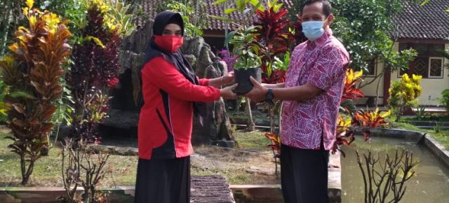 Pemberian Bantuan Bibit Apel Bludru